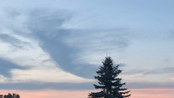 Cloud shaped like an angel, symbolizing peace and comfort during end-of-life planning.