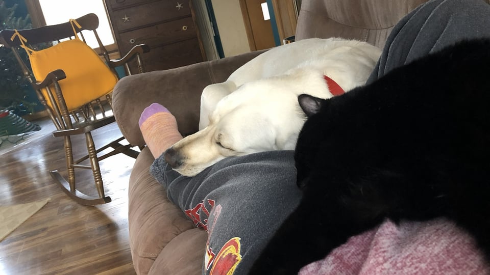 Heidi Rimstad resting on a couch with her cat Bruno and dog Ollie laying on her, demonstrating animal-assisted grounding and nervous system regulation.