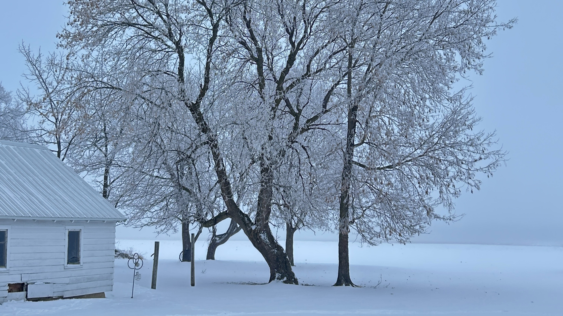 Peaceful winter landscape with large frosted trees and a white farmhouse, symbolizing stillness and grounding during holiday stress.
