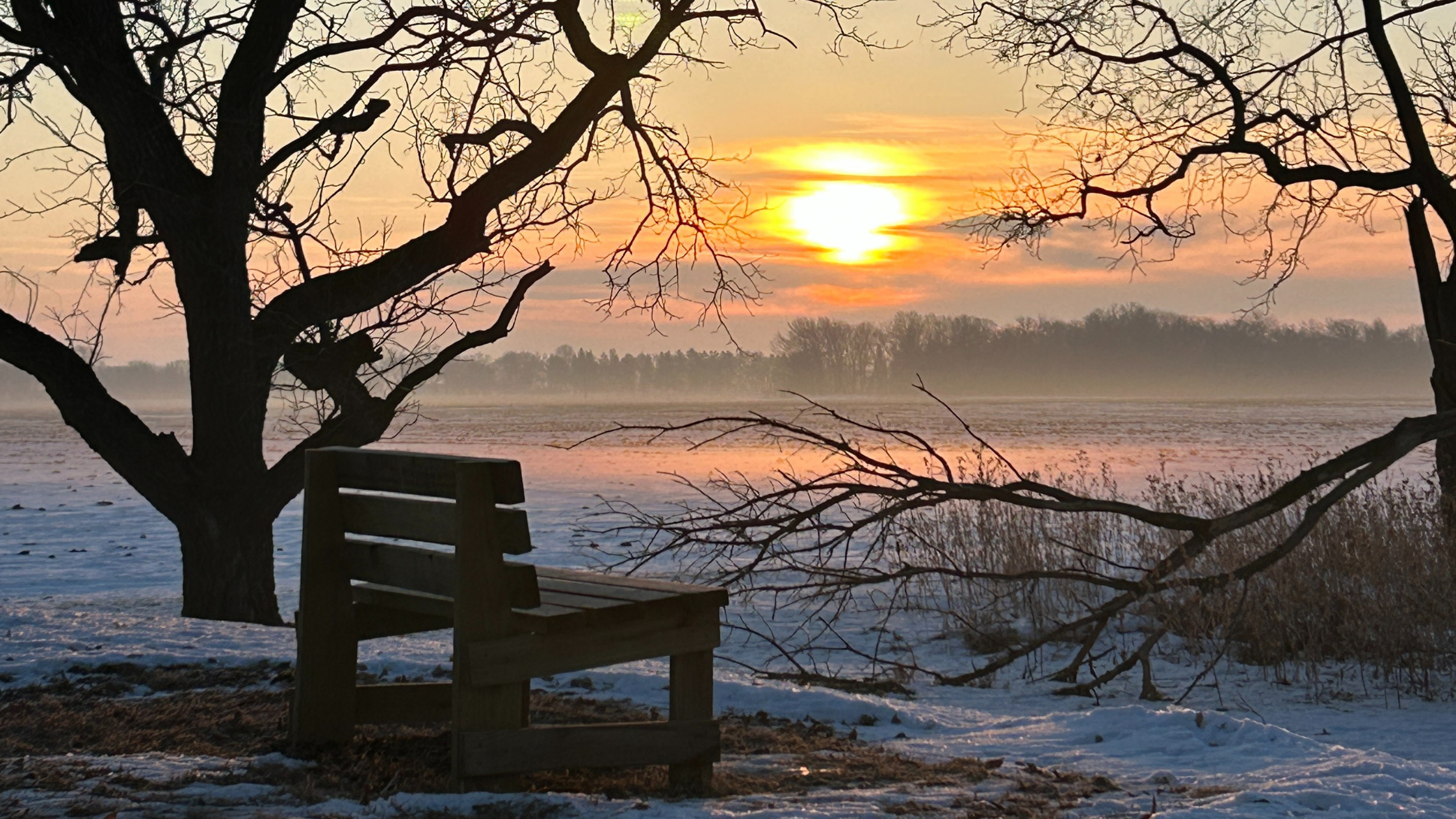 A peaceful wooden bench overlooking a winter sunset, representing the practice of stillness and nervous system regulation