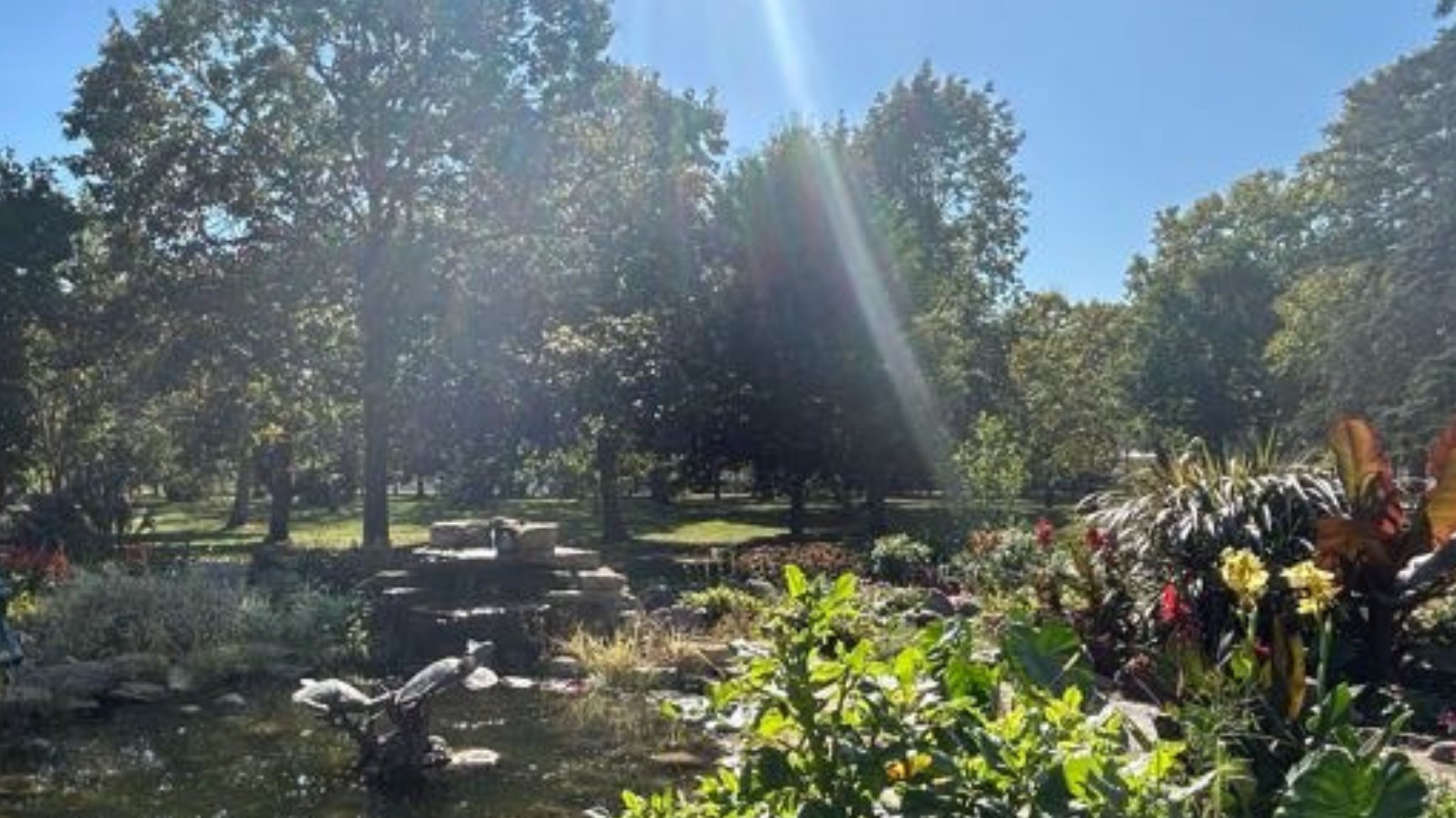 Sunlight streaming through tall trees in a peaceful garden, illuminating a small pond surrounded by vibrant flowers and lush greenery.